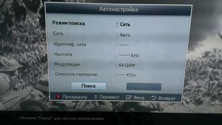 Поиск