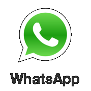 WhatsApp +79113824695